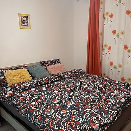 Good Vibes Apartment Campulung Moldovenesc Ngoại thất bức ảnh