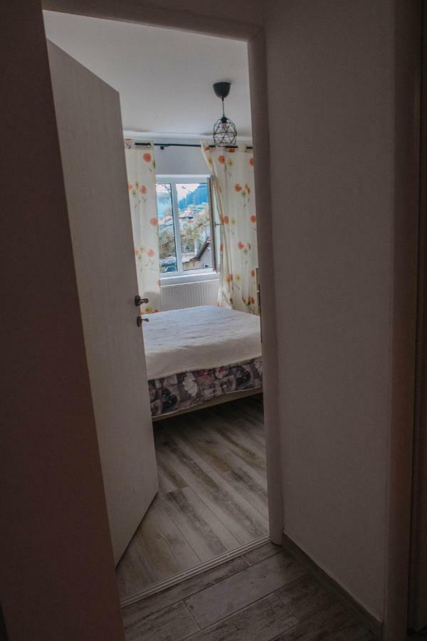 Good Vibes Apartment Campulung Moldovenesc Ngoại thất bức ảnh