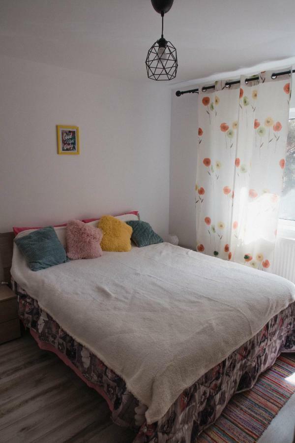 Good Vibes Apartment Campulung Moldovenesc Ngoại thất bức ảnh